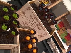 -新加坡文华东方酒店