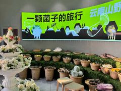 -花菇朵 ll 野生菌火锅·精品云南菜(后沙峪店)