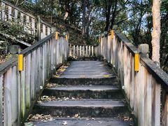 -帽儿山国家森林公园