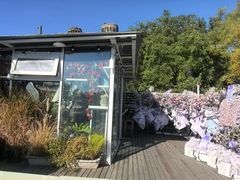 -北平花园·潮玩萌牙·北平咖啡(南锣鼓巷胡同店)