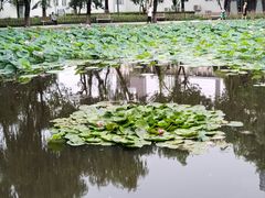 -丰台科技园生态主题公园