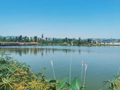 -枫香湖儿童公园