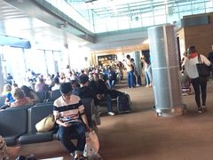 -西沃古尔·拉姆古兰爵士国际机场