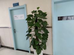 -成都军建医院·疤痕诊疗中心