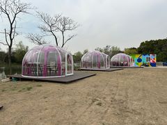 -梁鸿国家湿地公园