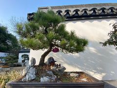 -上海醉白池公园