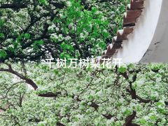 -水丰路鸡蛋饼