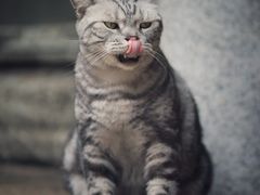 -龙华寺