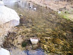 -碓臼峪自然风景区