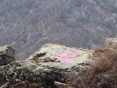 -帽儿山风景区