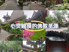 -关中书院