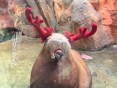 -波塞冬旅游度假区