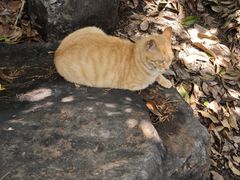 -狼山风景名胜区