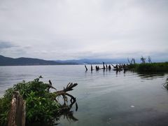 -大理洱海