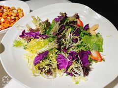 -鸭王烤鸭店(三里河店)