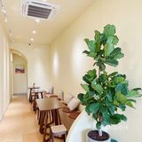 东莞探店｜水乡河边温柔奶油色下午茶｜乐馥
