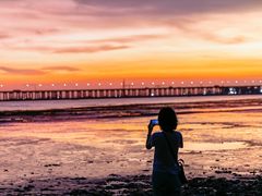 -宝安西湾红树林湿地公园