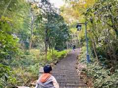 -韬光茶庵