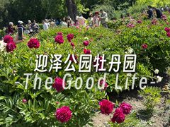 -迎泽公园