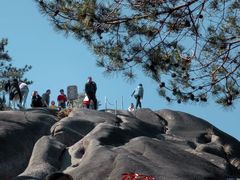 -玉苍山国家森林公园