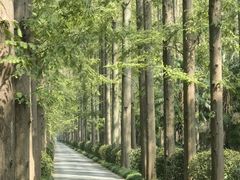 -上海怡沁园度假酒店