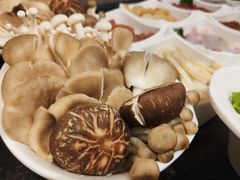 -海底捞火锅(奥体南路店)