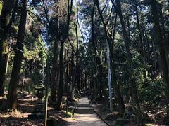 -阿苏山