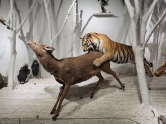 -南宫五洲植物乐园