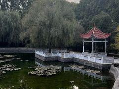 -河南省黄河迎宾馆