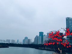 -万绿园