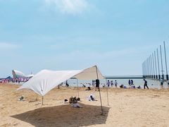 -碧海金沙