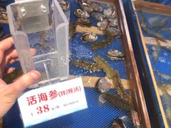 -永红源啤酒·烧烤·海鲜·大排档(青特城店)