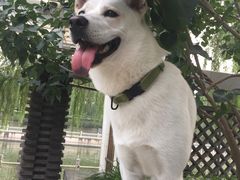 -宠颐生中康贝怡动物医院