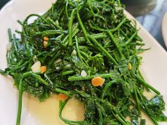 野菜-美极鲜食坊(宝安南路店)