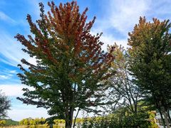 -北京宽沟会议中心