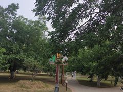 -御林古桑园