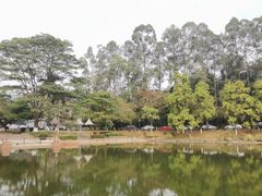 -三水森林公园