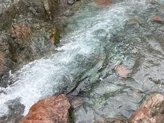 -西岭雪山大飞水景区