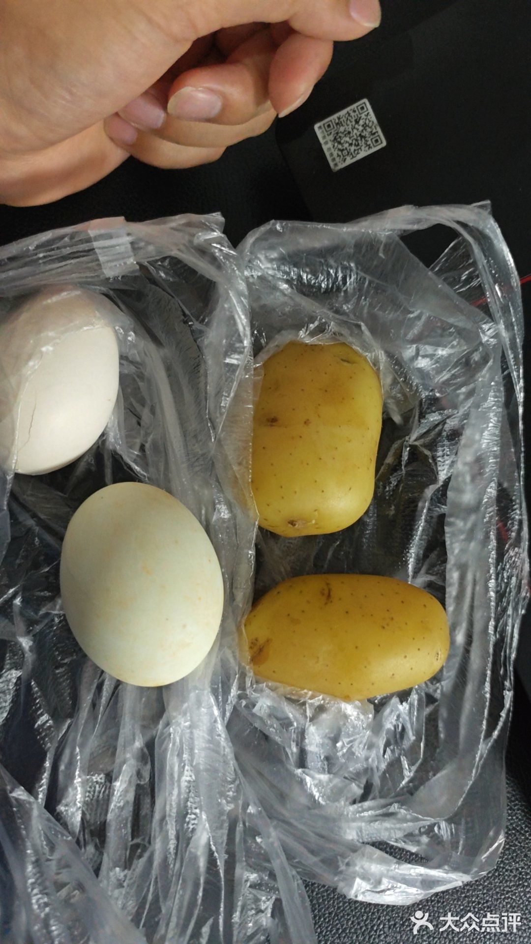 宠物