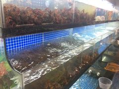 水产区-盱眙小龙虾(天虹店)