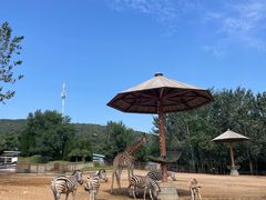 -大连森林动物园