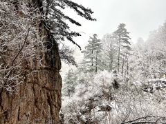 -洛阳白云山景区