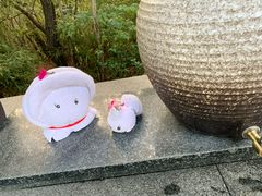 -天目湖涵田半山温泉水乐园