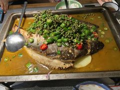 -探鱼·鲜青椒爽麻烤鱼(北京路天河城店)