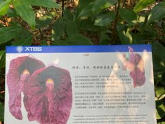 -中国科学院西双版纳热带植物园
