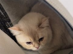 -美联众合爱康动物医院•复杂内科•肿瘤科•牙科•腔镜诊疗中心