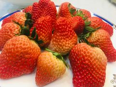 -绫罗岛海鲜私房菜(鸭绿江边店)