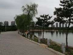 -通辽森林公园