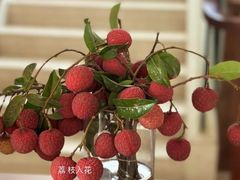 -小榄人家酒楼(民安店)