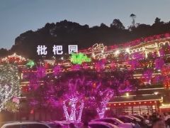 -枇杷园食为鲜火锅(南山店)